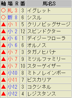 7月28日(土)の鉄板軸馬|新潟8Rのシスルが堅軸!!