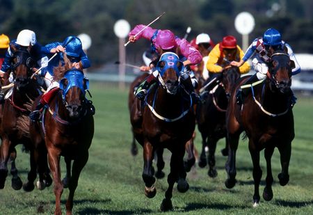 京都記念 予想オッズと激走穴馬 黒の馬券師 軸馬予想