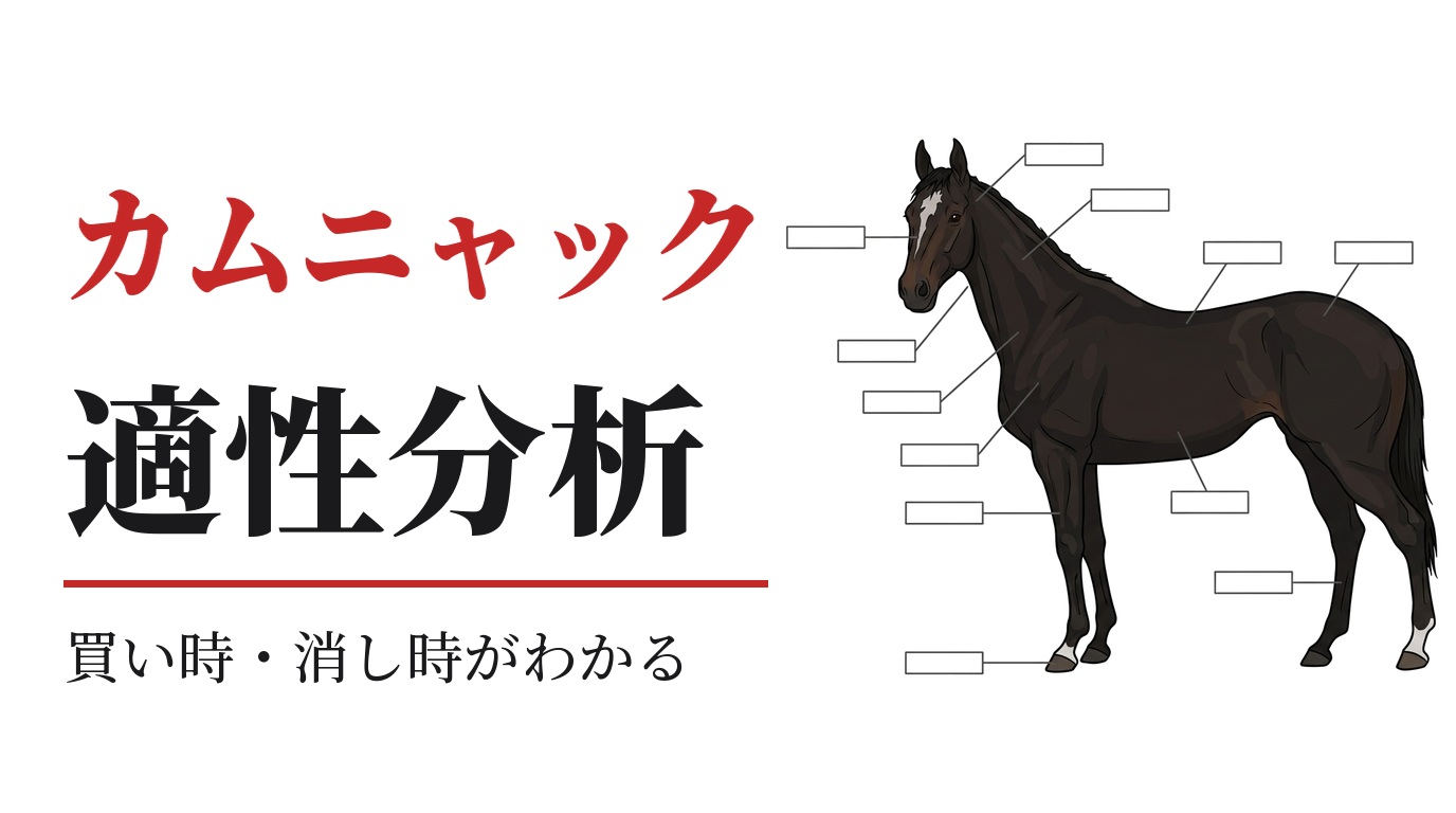 カムニャックの適性分析